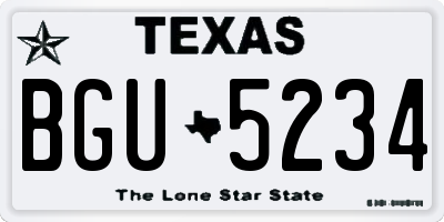 TX license plate BGU5234