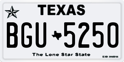 TX license plate BGU5250