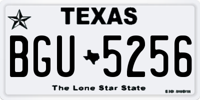 TX license plate BGU5256