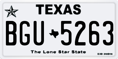 TX license plate BGU5263