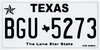 TX license plate BGU5273