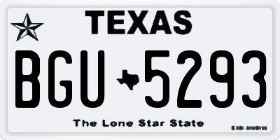 TX license plate BGU5293