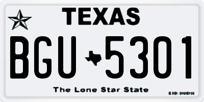 TX license plate BGU5301