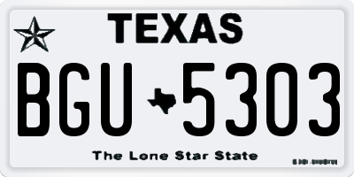 TX license plate BGU5303