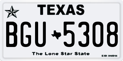 TX license plate BGU5308