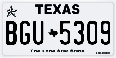 TX license plate BGU5309