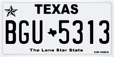 TX license plate BGU5313