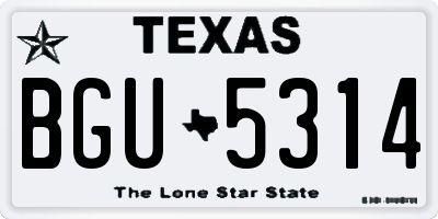 TX license plate BGU5314