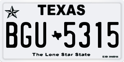 TX license plate BGU5315