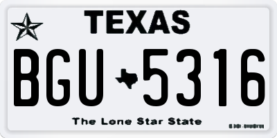 TX license plate BGU5316