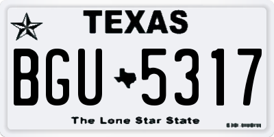 TX license plate BGU5317