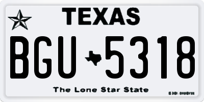 TX license plate BGU5318