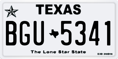 TX license plate BGU5341