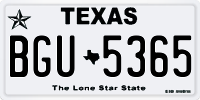 TX license plate BGU5365