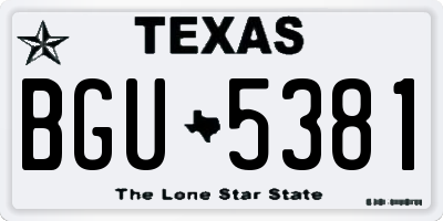 TX license plate BGU5381