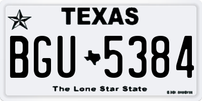 TX license plate BGU5384