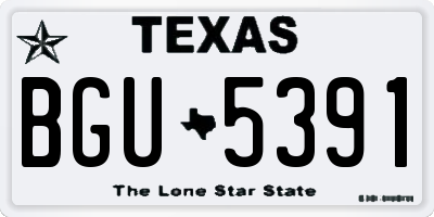 TX license plate BGU5391
