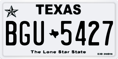 TX license plate BGU5427
