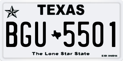 TX license plate BGU5501