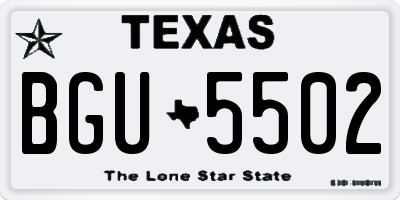 TX license plate BGU5502