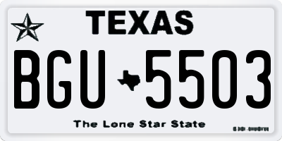 TX license plate BGU5503