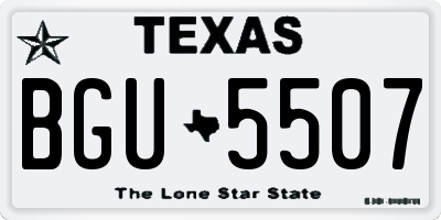 TX license plate BGU5507