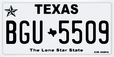 TX license plate BGU5509