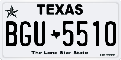 TX license plate BGU5510