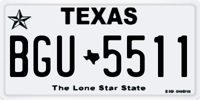 TX license plate BGU5511