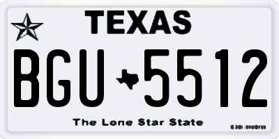 TX license plate BGU5512
