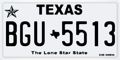 TX license plate BGU5513