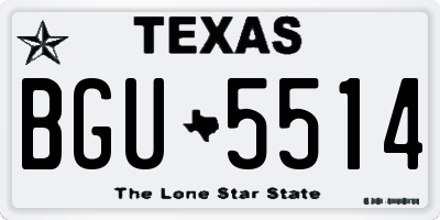 TX license plate BGU5514