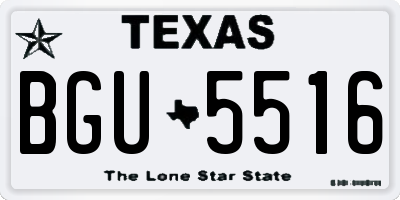 TX license plate BGU5516