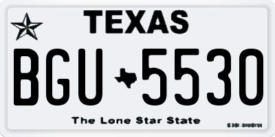 TX license plate BGU5530