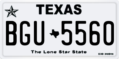 TX license plate BGU5560