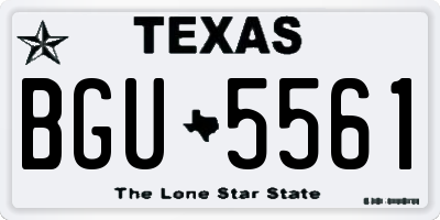 TX license plate BGU5561