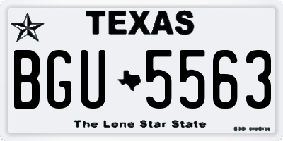 TX license plate BGU5563