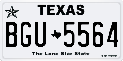 TX license plate BGU5564