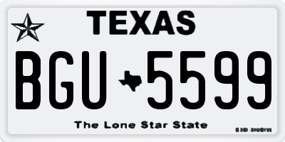 TX license plate BGU5599