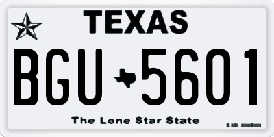 TX license plate BGU5601