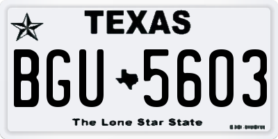 TX license plate BGU5603