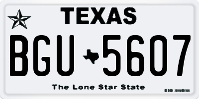 TX license plate BGU5607