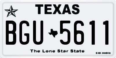 TX license plate BGU5611