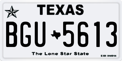 TX license plate BGU5613