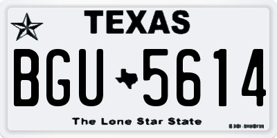 TX license plate BGU5614