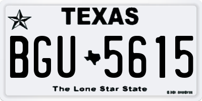 TX license plate BGU5615