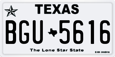 TX license plate BGU5616
