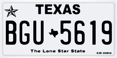 TX license plate BGU5619