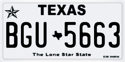 TX license plate BGU5663