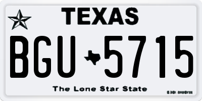TX license plate BGU5715